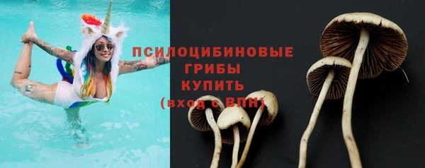 mdpv Богородицк