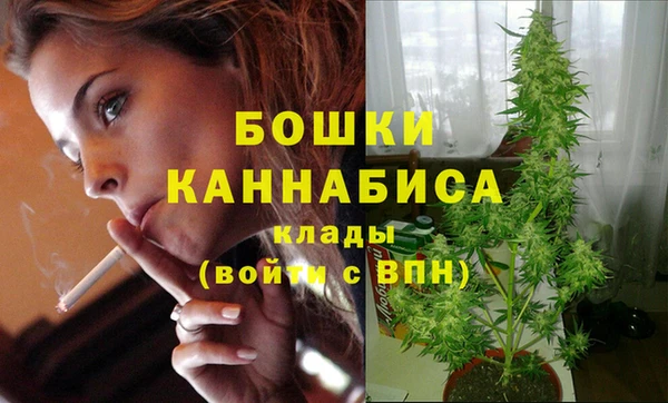 мяу мяу мука Богданович