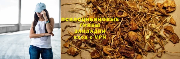 mdpv Богородицк