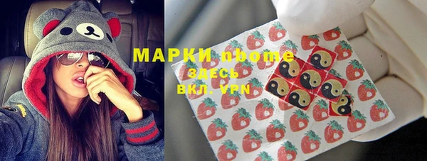 Альфа ПВП Белокуриха