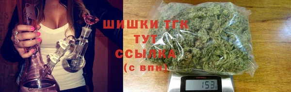 mdpv Богородицк
